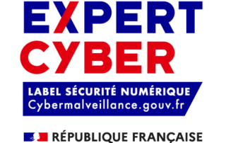 Logo Expert Cyber Alez PC