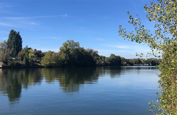 engagements RSE de Alez PC